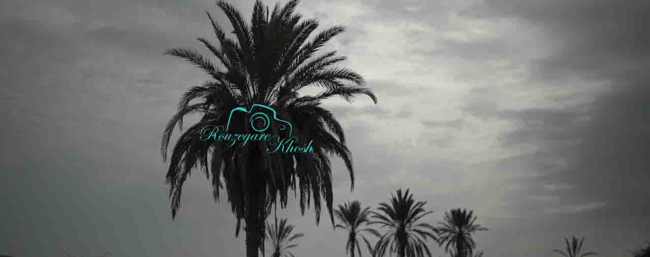 اتلیه فرمالیته تهران