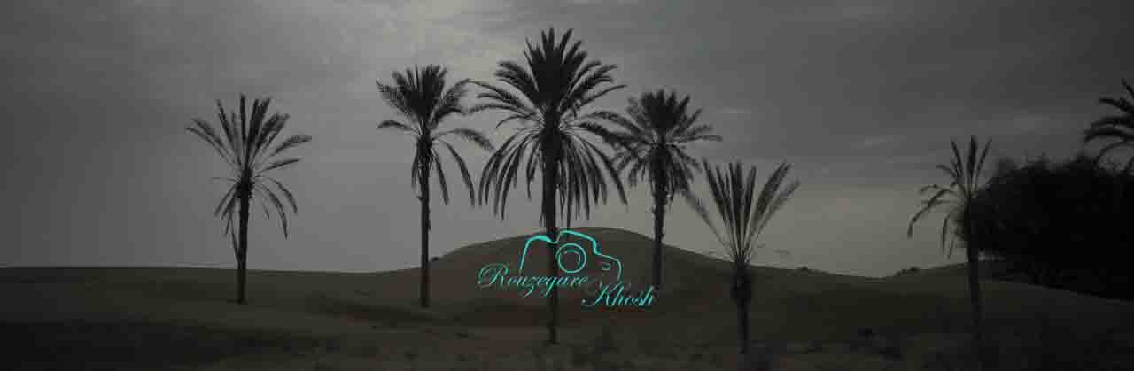 ساخت کلیپ فرمالیته عروسی در مشهد